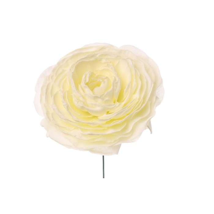 PICK RANUNCOLO WHITE